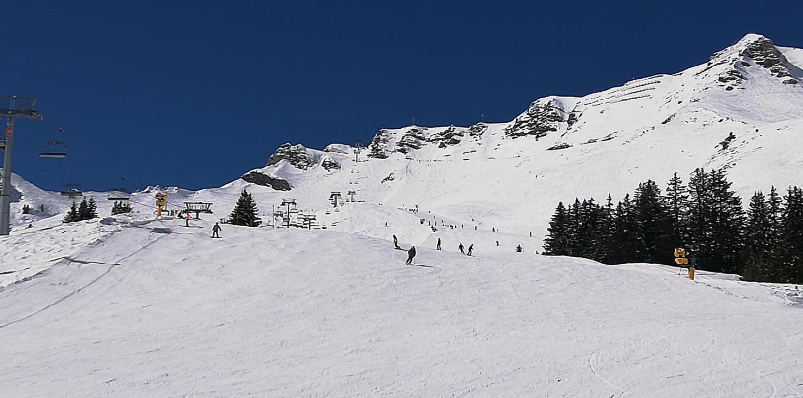 Bonavau Studio3 Champéry Exterior foto